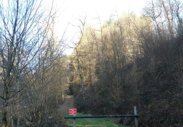 Trail Walking Houffalize - Halleu - Tibièwé - Photo