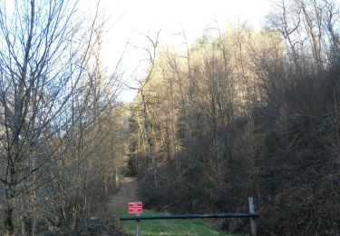 Tour Wandern Hohenfels - Halleu - Tibièwé - Photo