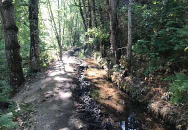 Tocht Stappen Villafranca del Bierzo - Villafranca Landoiro - Photo