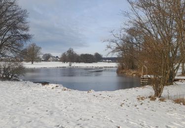 Trail Walking Libramont-Chevigny - Marche ADEPS 10km100 à Freux - Photo