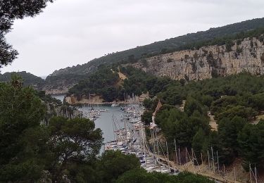 Excursión Senderismo Cassis - Calanques Port Miou , port Pin En Vaux  - Photo