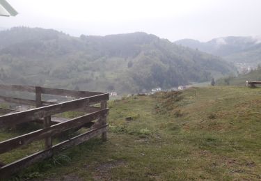 Randonnée Marche Storckensohn - le Sternsee depuis Storckensohn par la grande cascade et le Gazon Vert - Photo