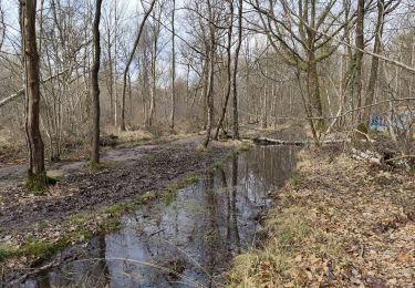Percorso Marcia Noisy-le-Grand - Le bois de grace - Photo