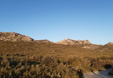 Randonnée Marche Eyguières - Tour des Opies via le Vallon des Glauges - Photo