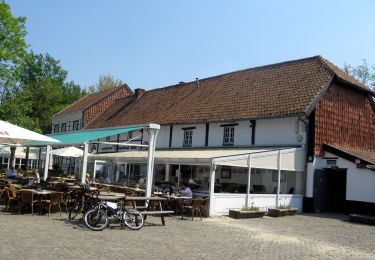 Tour Zu Fuß Heusden-Zolder - Bolderberg Gele zeshoek - Photo