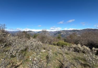 Trail sport Puget-Théniers - Puget Theniers - Photo