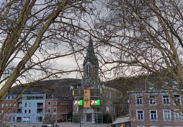 Trail Walking Liège - liege st Martin . tilff gare - Photo