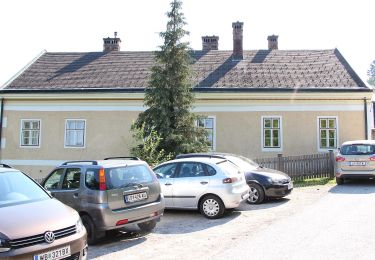 Tocht Te voet Gemeinde Kaumberg - Kaumberg - Veiglkogel - Photo