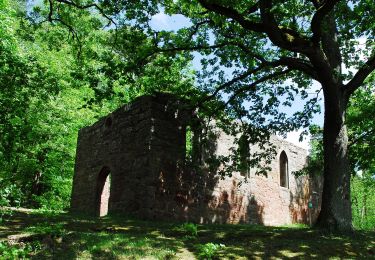 Randonnée A pied Bürgstadt - Rundwanderweg Bürgstadt Stutz 3: Ringwall-Weg - Photo