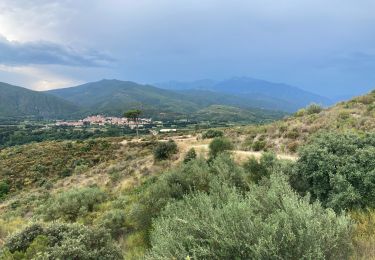 Excursión Senderismo Ille-sur-Têt - Ille-sur-Têt - Photo