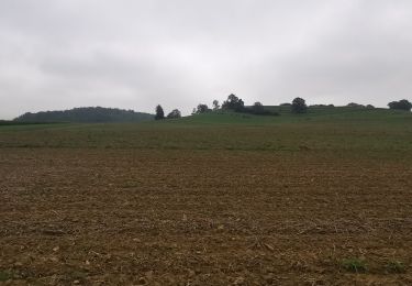 Tour Wandern Florenville - Orval-Auflance-Villers-Orval 13km - Photo
