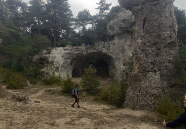 Trail Walking Le Rozier - les rosiers la viale - Photo
