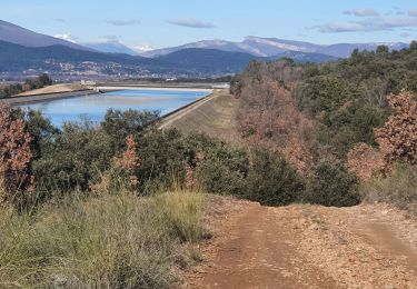 Tour Wandern Oraison - 2023-01-13 Oraison - La Baume - Photo