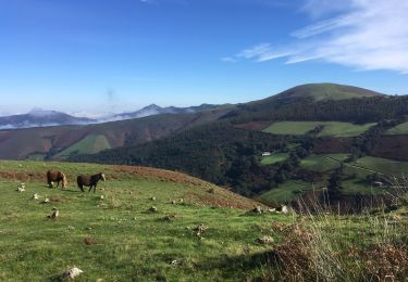 Randonnée Marche Urdazubi/Urdax - 1,1 Urdazubi,Puerto de Otsondo par Basandegi, Goizamendi et Orabidea - Photo