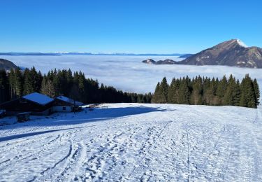 Percorso Racchette da neve Mont-Saxonnex - lac bénit  - Photo