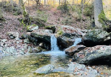 Trail Walking Aywaille - Le vallon du Ninglinspo à Aywaille - Photo