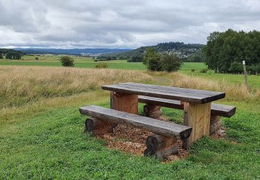 Percorso A piedi Biebertal - Rennweg Bierbertal - Herborn - Photo