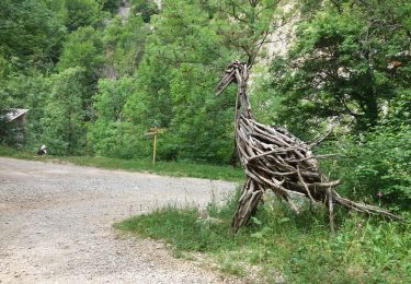 Trail Walking Le Saix - Le Fai - Lac de Peyssier - Photo