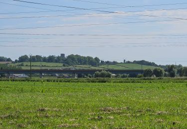Tour Elektrofahrrad Téteghem-Coudekerque-Village - d'Etaples à Bray Dunes - Photo