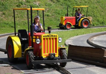 Randonnée A pied Olsberg - Andreasberg Rundweg AB4 - Photo