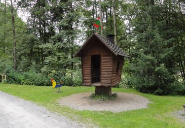 Randonnée A pied Jöhstadt - Ww Großer Ringweg Steinbach - Photo