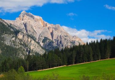 Tour Zu Fuß Prags - IT-25 - Photo