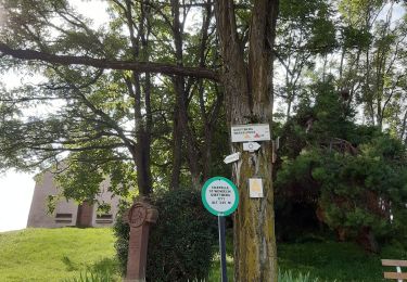 Randonnée Marche Wasselonne - Chez François  - Photo