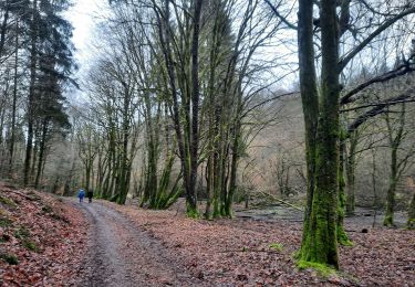 Tour Wandern Habich - marche adeps Anlier  - Photo