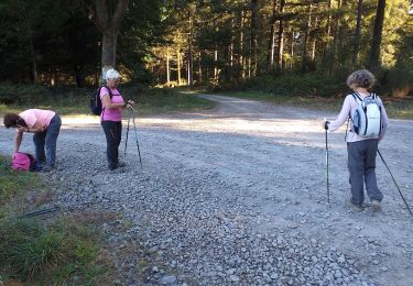 Trail Nordic walking Ger - MM2 camp deGer - Photo