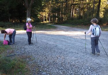 Excursión Marcha nórdica Ger - MM2 camp deGer - Photo