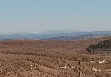 Tour Wandern Larroque-Toirac - Cirques de bons - Château de Larropue Toirac  - Photo