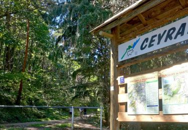 Trail Walking Ceyrat - Ceyrat_4_Ruisseaux - Photo