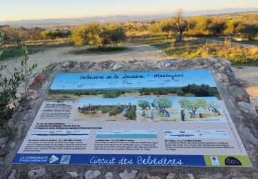 Tocht Stappen Montagnac - ballade de 8 statues de Montagac - Photo