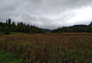 Tocht Stappen Montperreux -                                     La Gouille - Photo