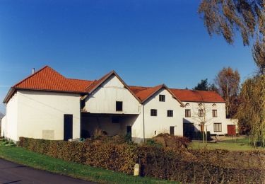 Tocht Te voet Maaseik - Tösch-Langeren Blauwe ruit - Photo