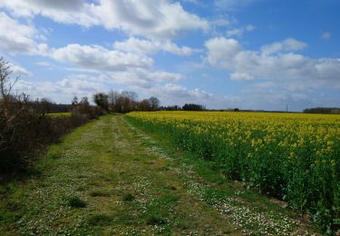 Percorso Marcia Tauxigny-Saint-Bauld - Tauxigny - 26.7km 170m 5h20 (30mn) - 2021 03 27 - Photo