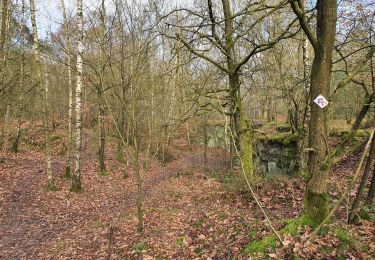 Tour Wandern Belœil - ADEPS - Granglise (Amis de la nature) - Photo