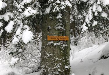 Percorso Sci alpinismo Mittlach - Rando Mittlach - Photo