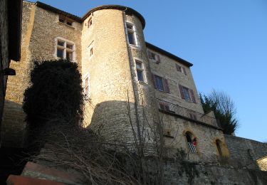 Excursión A pie Chazay-d'Azergues - Tour des Pierres Dorées en Beaujolais - Photo