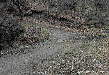 Tocht Stappen Le Castellard-Mélan - Boucle 3,7 km au départ de Fontbarliere par Manent et les Collons - Photo