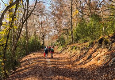 Percorso Mountainbike Montfort - Montfort/Puimichel par les collines  - Photo