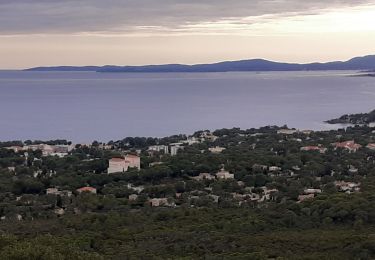 Tocht Stappen Saint-Raphaël - Tour du Gr.Defends - du Dramont Par les Ferrières (2) - Photo