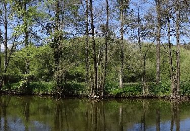 Tocht Te voet Pléchâtel - Circuit de la Pierre Longue - Photo