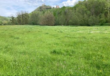 Tocht Stappen Najac - Najac - Photo