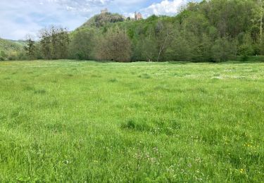 Randonnée Marche Najac - Najac - Photo