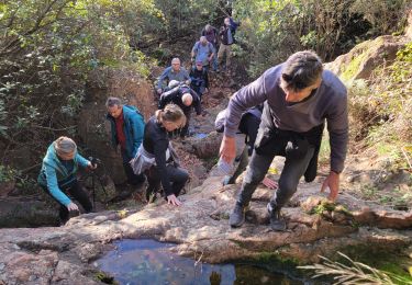 Tour Wandern Le Muy - La Combe Renaude et le Pic Rébéquier - Photo