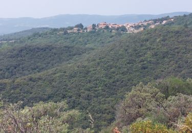 Trail Walking Soumont - abbaye - Photo