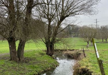 Tocht Stappen Olne - Balade 9 Olne à partir de Hansez - Photo