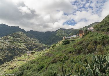 Tocht Stappen San Cristóbal de La Laguna - Los Platanes Saint Cristobal de La Laguna - Photo