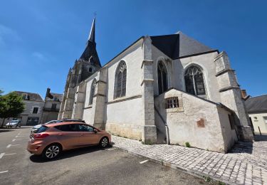 Excursión Senderismo Veuzain-sur-Loire - Veuzain-sur-Loire - Le bois de la Borne Blanche - Photo